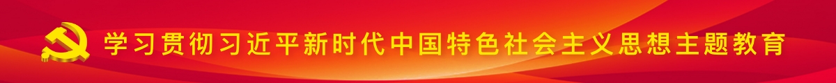 學習貫徹習近平新時代中國特色社會主義思想主題教育
